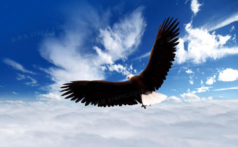 九辫高甜瞬间盘点：那些让人心跳加速的默契时刻