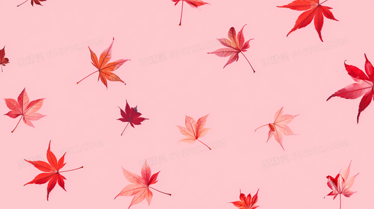 警徽之下:机动部队的抉择