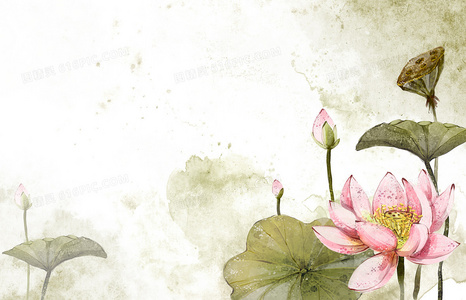 无信号灯路口两车直行相撞，谁该负主要责任？