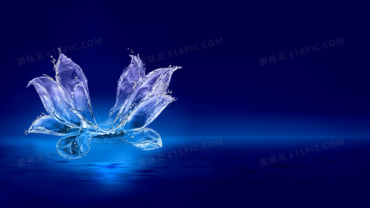 从电视剧到电影:坏家伙们宇宙的扩展与风格演变