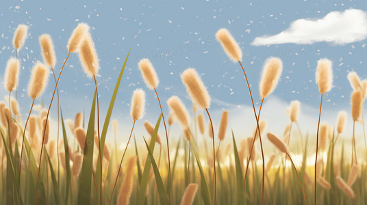 主演阵容全解析：微爱之渐入佳境中的角色与演员