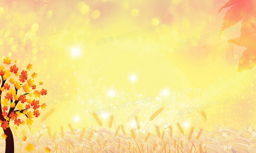 对焦艺术：掌握单反相机的精准对焦与追焦方法