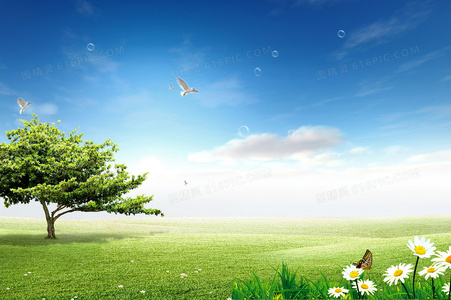 逆光追爱者:跨越阴影的勇气