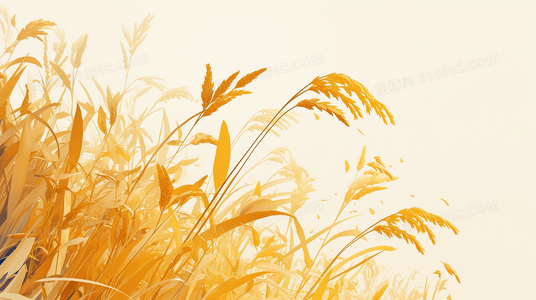 历史迷必备：亚历山大大帝封神之路百度网盘收藏