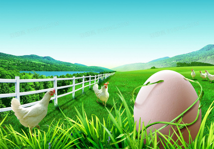 逃山：一场向内的精神远征