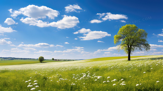 毁灭日与救赎：超人牺牲情节的伦理维度分析