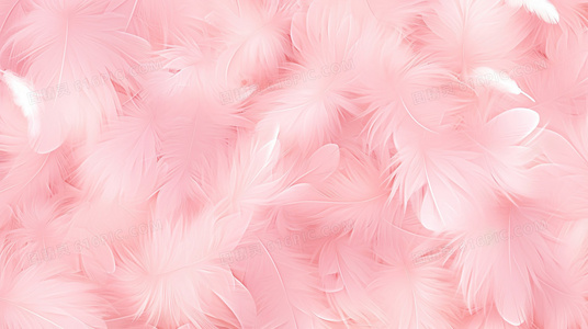 治愈系爆笑：段子狗日记里的“狗生哲学”