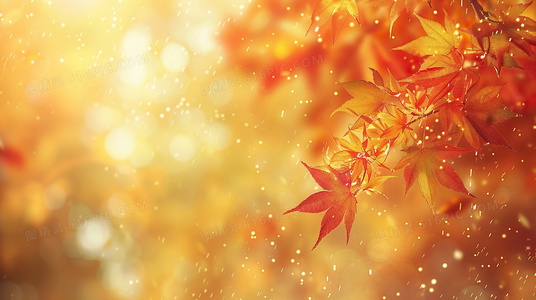 当代都市情感镜像：爱你输给了谁的社会观察与反思