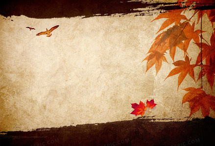 血色菩提:揭开恒河杀树背后的千年阴谋