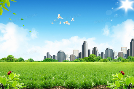 暗影编织者:影之地带的隐秘守护者