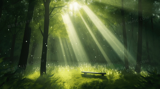 发如血，恨如刀：一段被诅咒的家族秘史