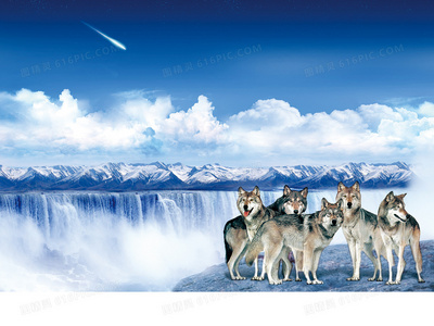 胆大者入！柳树街鬼屋未删减完整版在线观看