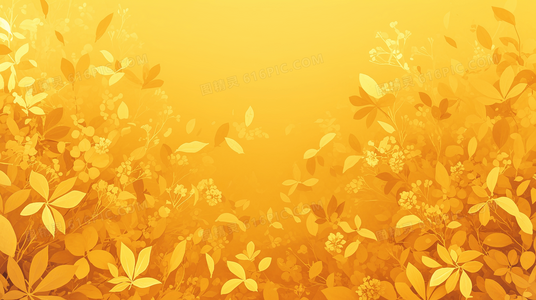 继承与终结：马克西米利安三世对巴伐利亚王朝的影响