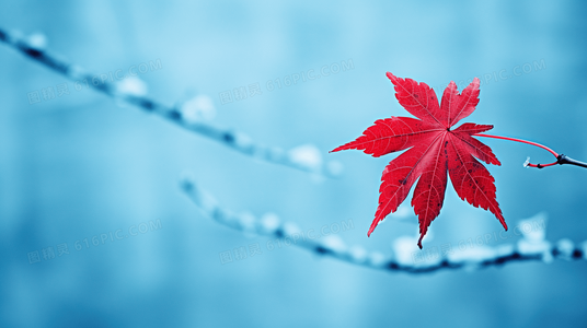 当名人遇上整蛊：整蛊先锋队最令人难忘的明星特辑