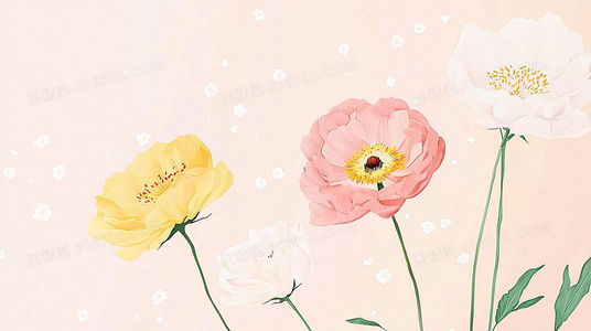 从雇佣兵到企业战士:战争公司中的军事私营化寓言