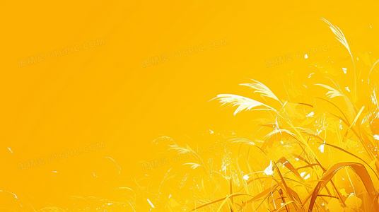 萨尔瓦多属于哪个洲?常见地理误区解答