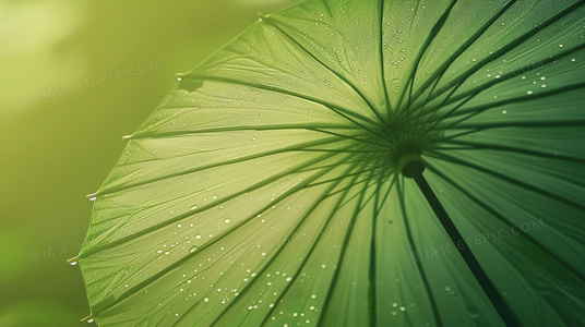 专业谈判团队实战记录:谈判专家中的策略与人性交锋