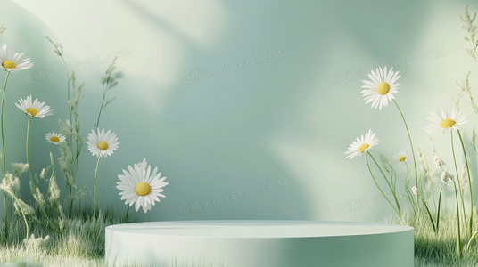 紫禁之巅与台湾：文化认同与历史渊源