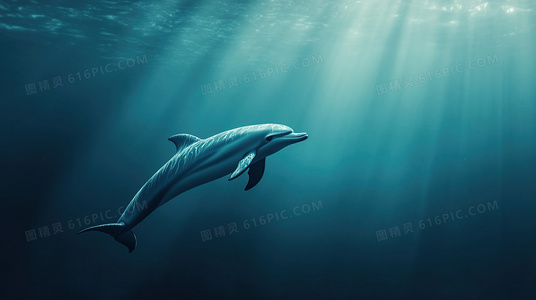 实验室中的微型社会：死亡实验德国版的伦理困境