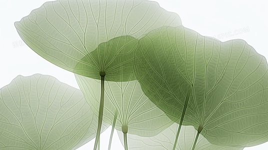 如果豆瓣存在于平行时空：一场赛博怀旧实验