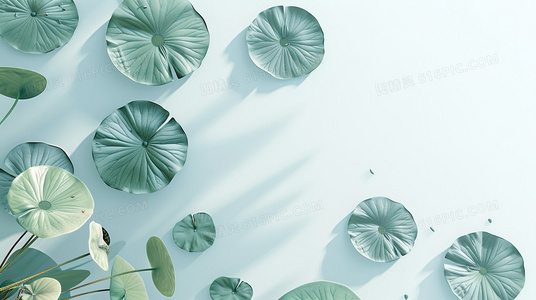 七月十四出生的女孩:如何把握命运,活出精彩人生?