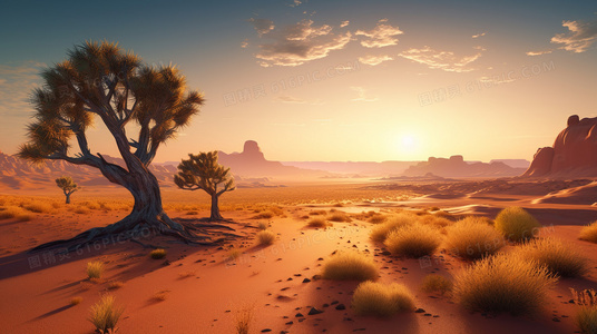 每一件高定礼服都是武器，每一次微笑都是陷阱。