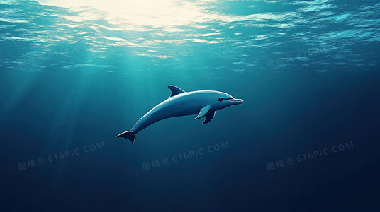 甄子丹增重出演！肥龙过江高清粤语中字在线观看指南