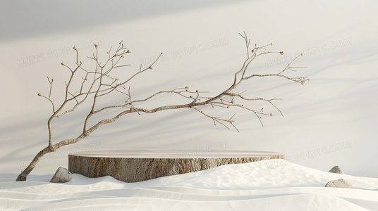 影之档案：探索影之地带的未解之谜