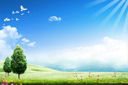 雏燕知恩报春来免费全集:一部值得反复品味的暖心故事