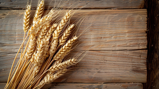 绝境围城：精英部队的生死72小时