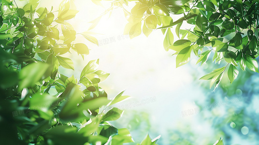 热血与羁绊！看大闹西游动漫如何演绎现代版师徒情