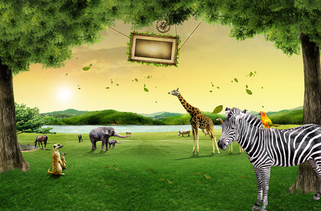 山炮司机进城：土味驾驶法则笑翻都市