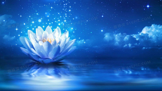 冠军战队专访：飞驰吧少年第二季夺冠的汗水与泪水