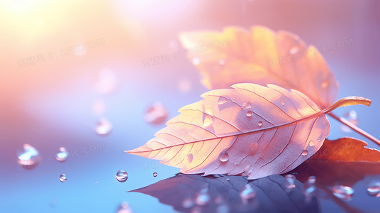 从歌词到旋律：熊汝霖倾国倾城阿宝的音乐魅力