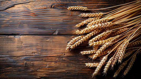 双星陨落：2024罪恶都市的共生与背叛