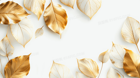 超越友谊的羁绊：偶像的秘密任务双男主情感层次深度解读