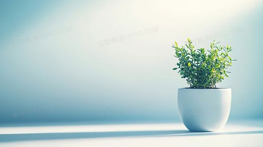 新生代与戏骨同台：天罡奇门阵演员表的惊喜搭配