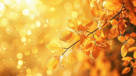 剧场版多尔多雷攻略隐藏细节与伏笔揭秘