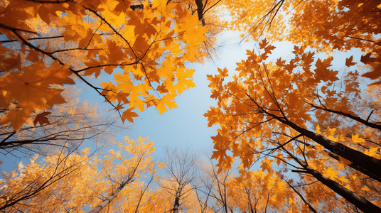 循环之美：10张圆形设计带来的视觉惊喜