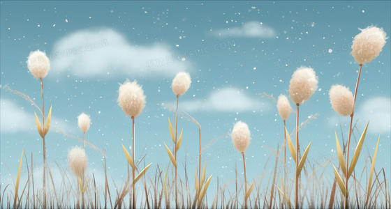 从赛场斗殴到电影角色：那些被称为“坏小子”的冰球运动员