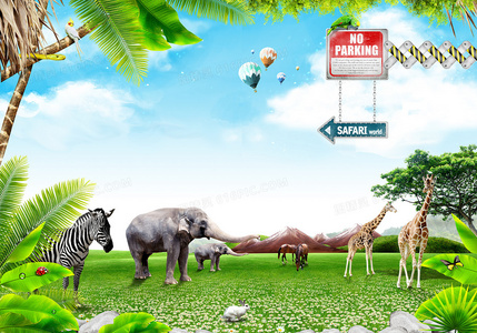 小熊的夏天:一本让孩子爱上阅读的温暖绘本