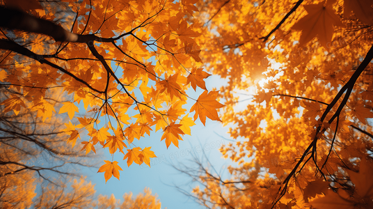 破解谜题，逃离危机通话惊魂免费观影与剧情解析